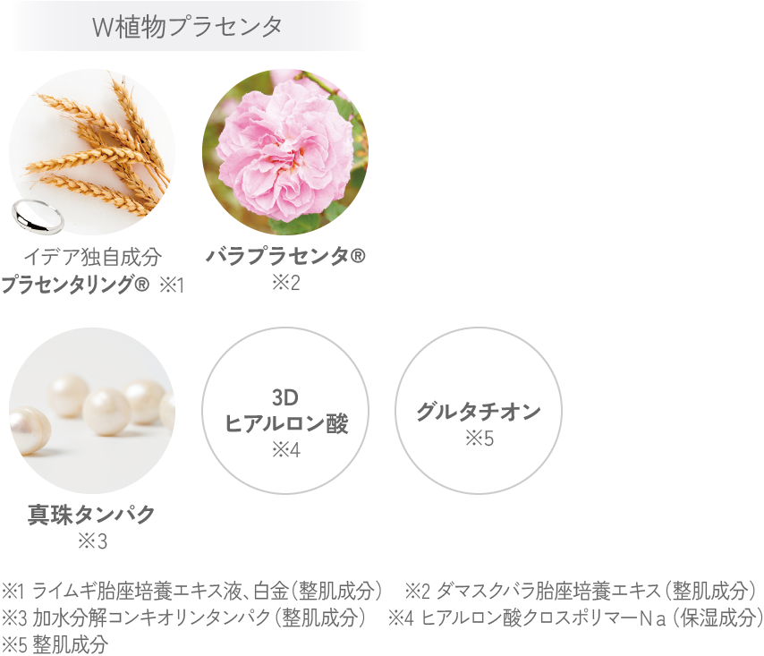 コンプリートクリーム 成分