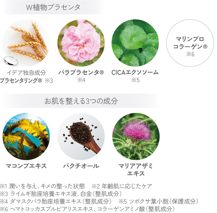 エッセンス 成分