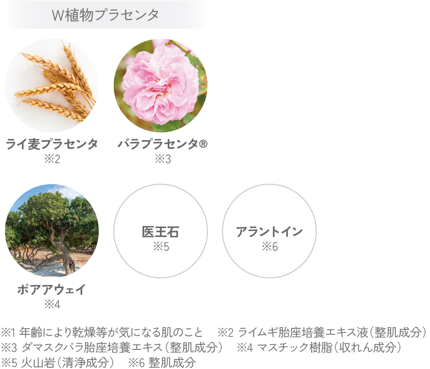 ブライトニングソープ 成分