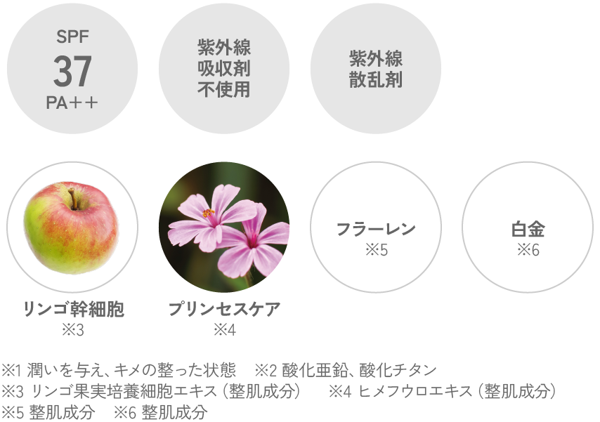 UVカット アンド ホワイト 成分