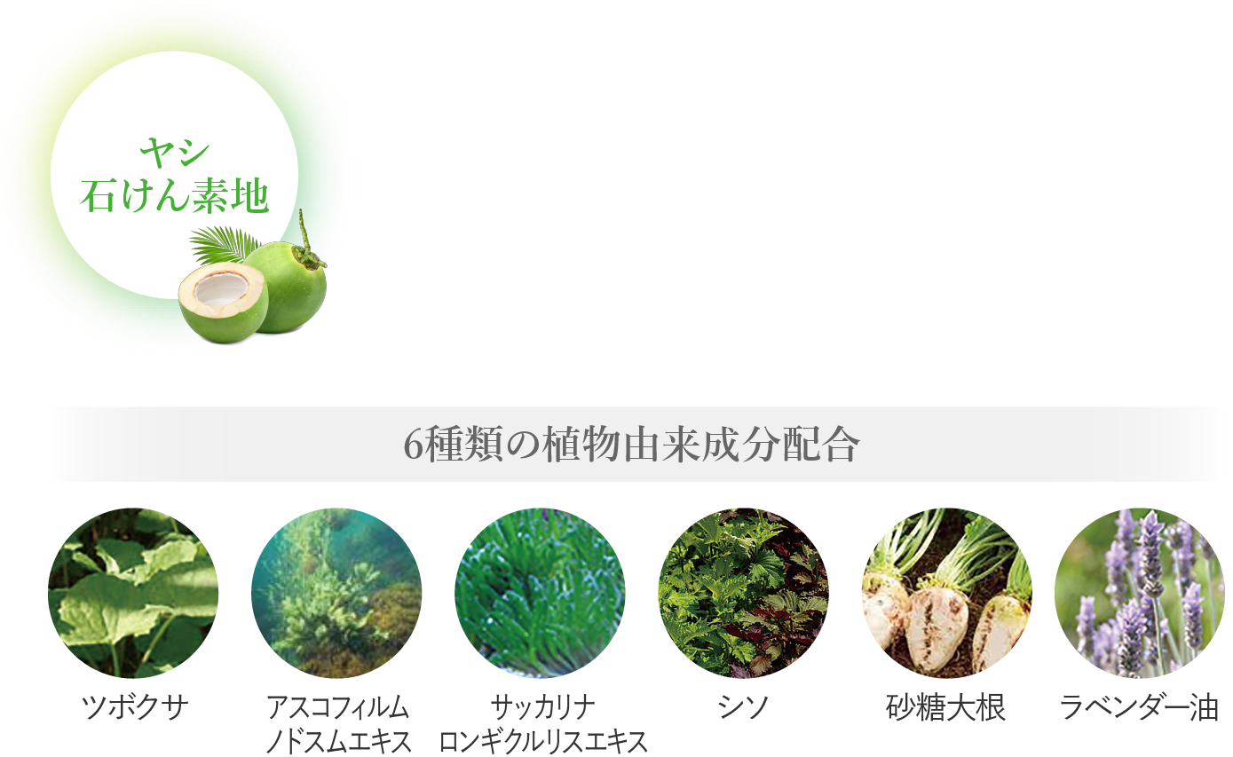 ヤシ石けん素地