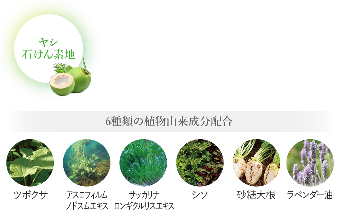 ヤシ石けん素地